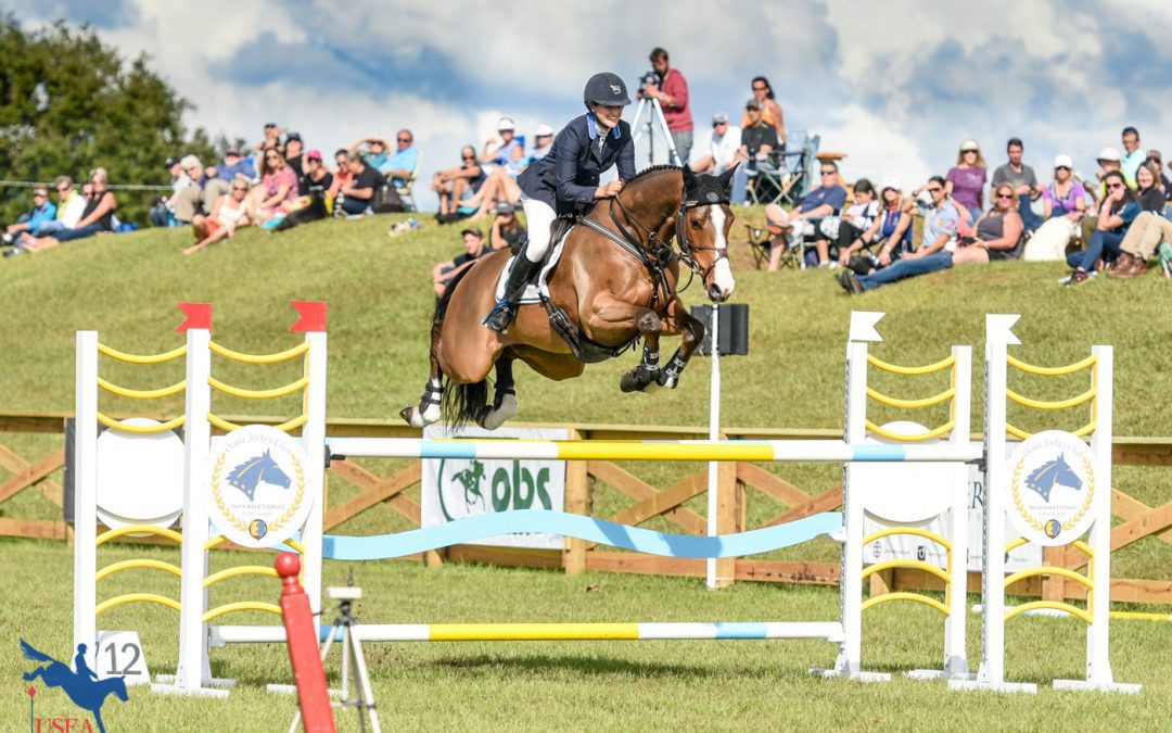November 2019 Equestrian Events