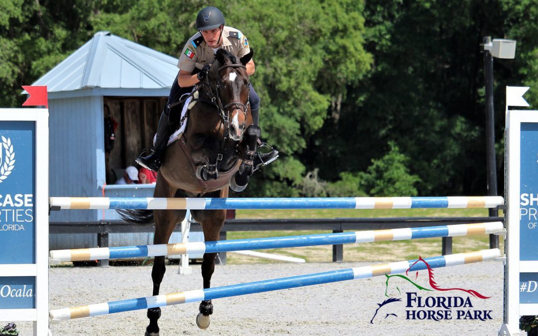 October 2019 Equestrian Events