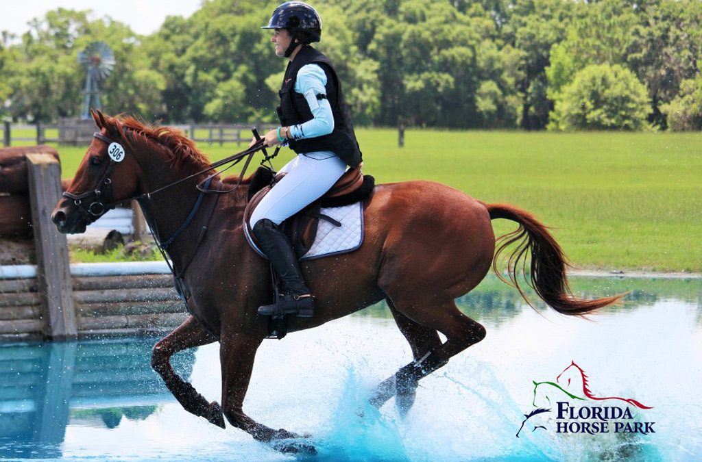 December 2019 Equestrian Events