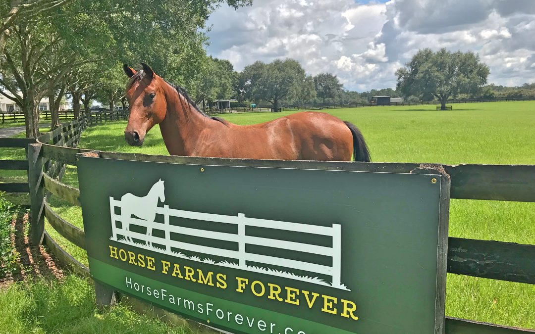 Horse Farms Forever® Celebrates Six Years